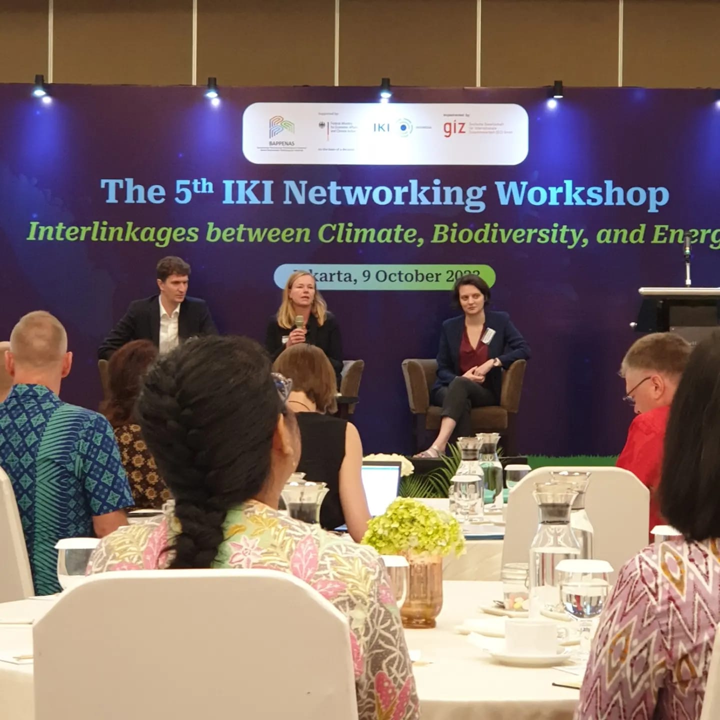 The 5th IKI Networking Workshop: Membangun kesuksesan bersama dalam mitigasi, adaptasi, dan konservasi alam